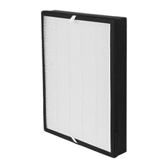 BUCKKO FY2422 FY2420 Replacement Filter Compatible with Philips AC2889 AC2887 AC2882 Series 2000i, AC3829 Series 3000i Air Purifiers,H13 HEPA + Activated Carbon Filter Set. Keep Pullen and dust away, 2 Pack