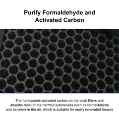 BUCKKO FY2422 FY2420 Replacement Filter Compatible with Philips AC2889 AC2887 AC2882 Series 2000i, AC3829 Series 3000i Air Purifiers,H13 HEPA + Activated Carbon Filter Set. Keep Pullen and dust away, 2 Pack