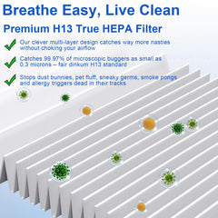 BUCKKO Replacement True HEPA Filters Compatible with Afloia AQ8 Q8/ Honati/Hysure Q7/Tenergy Sorbi Air Purifier & Dehumidifier 2-in-1(1000ML), H13, 2 Pack