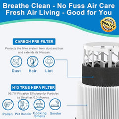 BUCKKO HEPA with Particle and Activated Carbon Filter for Blueair Blue Pure 411,411+ & MINI Air Purifiers reference Part Number SF411PACF102174, 2 Pack