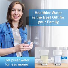 BUCKKO 836848 Refrigerator Water Filter, Replacement for Fisher & Paykel #862285 Replaces #836848, 836860, E522B, PS2067635, RF90A180DU, EFF-6017A, E402B, E442B, SUPCO WF296, RF135B (1-Pack)