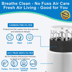 BUCKKO HEPA with Particle and Activated Carbon Filter for Blueair Blue Pure 411,411+ & MINI Air Purifiers reference Part Number SF411PACF102174, 2 Pack