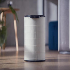Philips Genuine Replacement Filter Integrated 3-in-1, 12 months lifetime HEPA+Active Carbon+Pre-filter, Filters 99.97% @ 0.003 um, Filters gases & odours, White/Black (FY1700/30)
