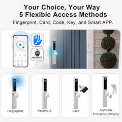 Buckko Locks BBA-002T-M Smart Knob Lock, Fingerprint, PIN Code, RFID Card, App and Key, Silver