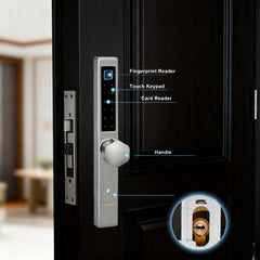 Buckko Locks BBA-002T-M Smart Knob Lock, Fingerprint, PIN Code, RFID Card, App and Key, Silver