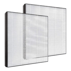 BUCKKO FY1119 Replacement Filter Compatible with Philips DE5205 DE5206 DE5207 Series 5000 Air Purifier & Dehumidifier 2-in-1, H13 HEPA Air Clean, 2 Pack