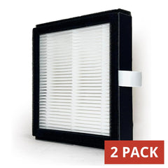 BUCKKO Replacement True HEPA Filters Compatible with Afloia AQ8 Q8/ Honati/Hysure Q7/Tenergy Sorbi Air Purifier & Dehumidifier 2-in-1(1000ML), H13, 2 Pack